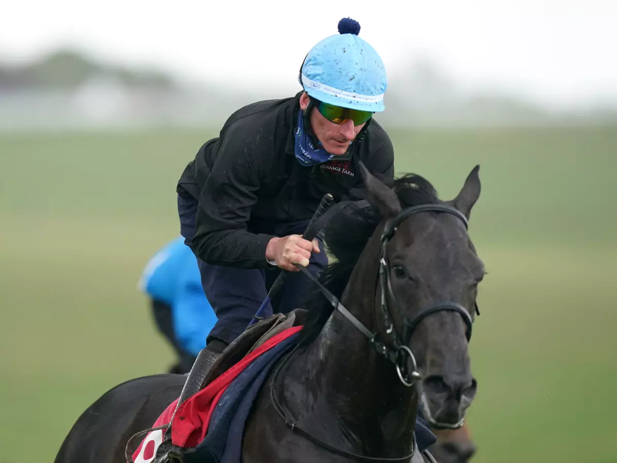 John Leeper had a gallop at Epsom before the Derby under Adam Kirby - who won the race on Adayar