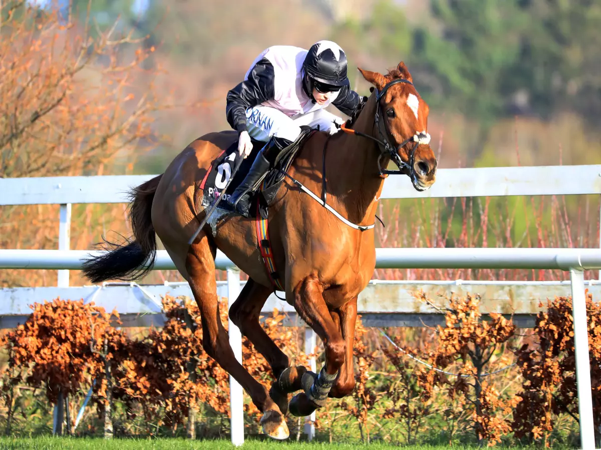 Kilcruit only third as Journey With Me takes Leopardstown honours