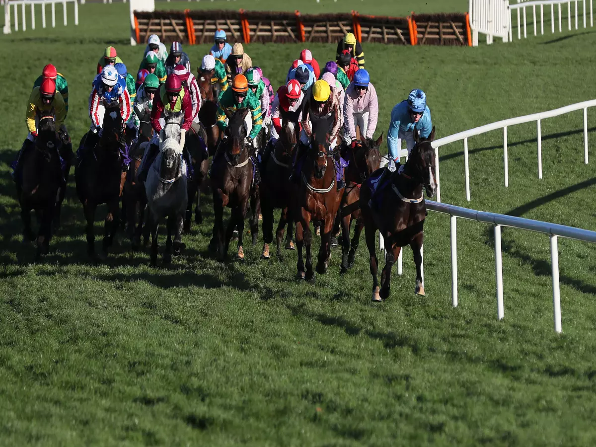 Leopardstown watering ahead of big Christmas fixture