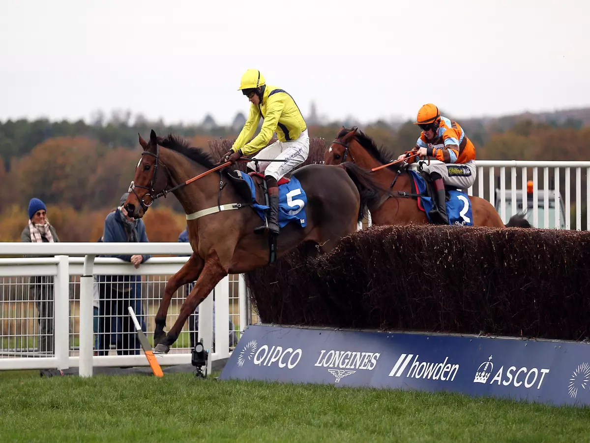 Lostintranslation all set for third crack at King George