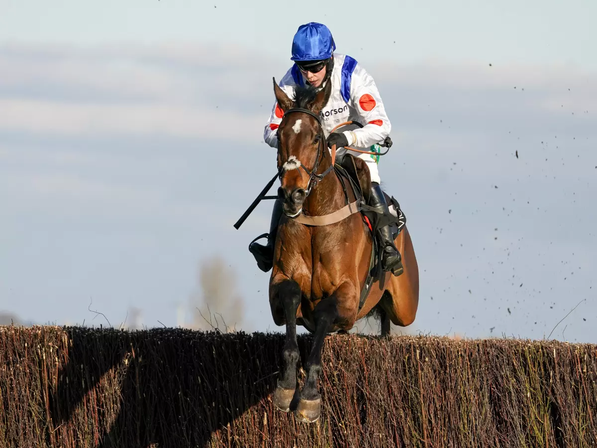 Paul Nicholls has high hopes for Hitman