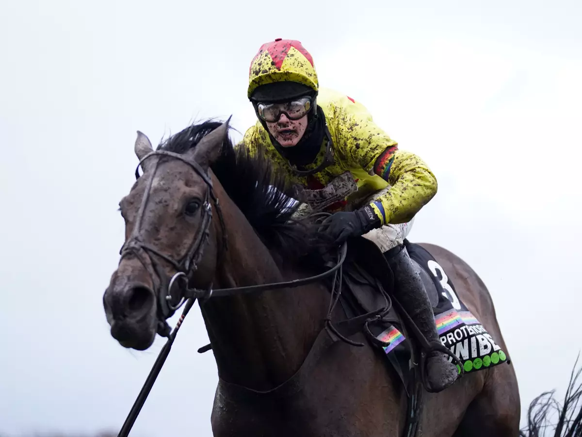 Protektorat ready to take on the best at Cheltenham