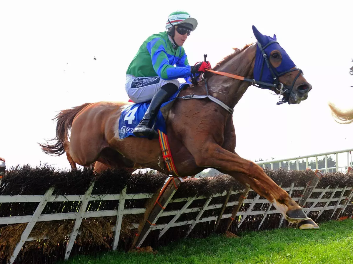 Ronald Pump ran too keen to do himself justice at Ascot