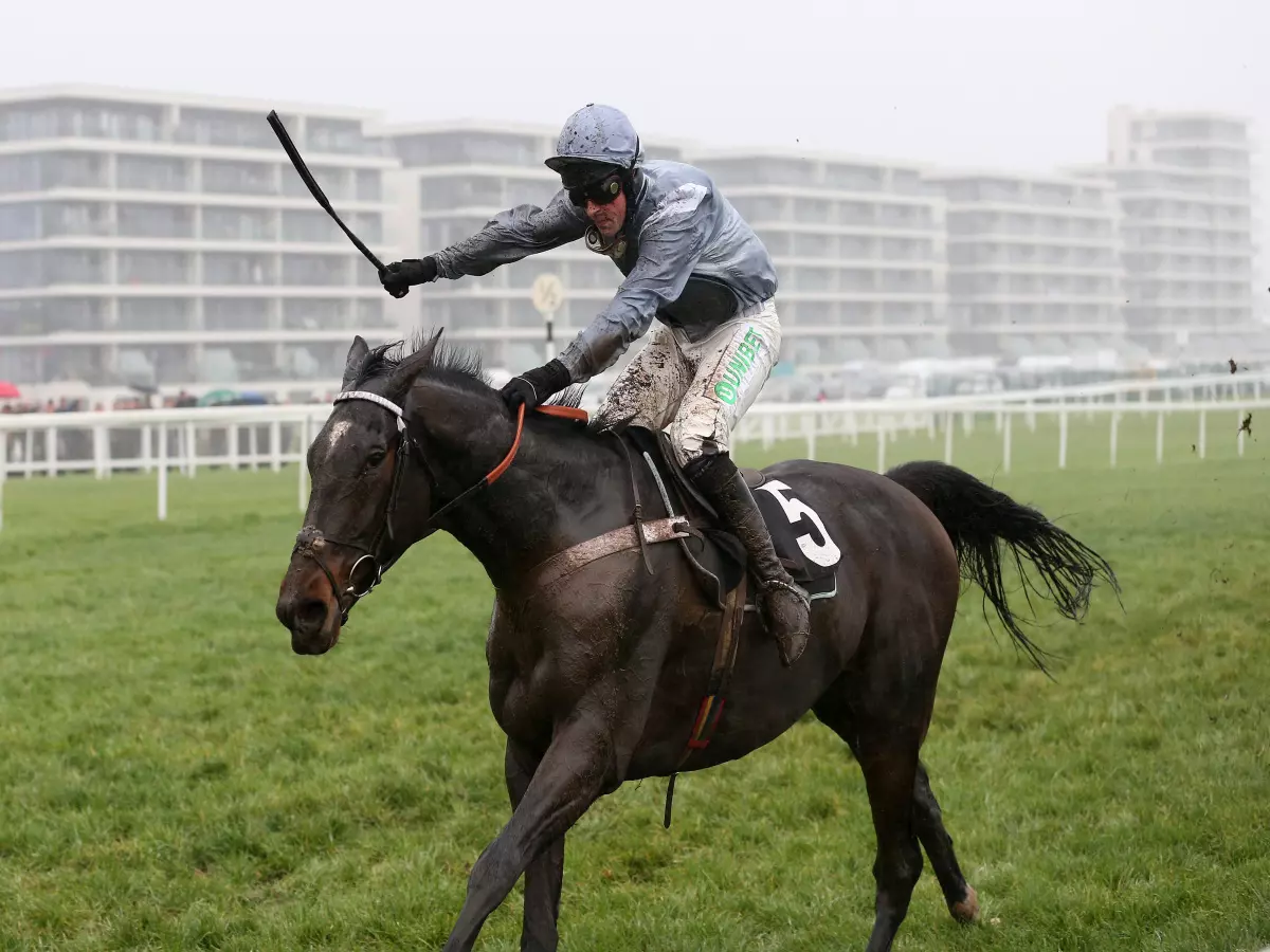 Santini team eager to take Cheltenham Gold Cup test