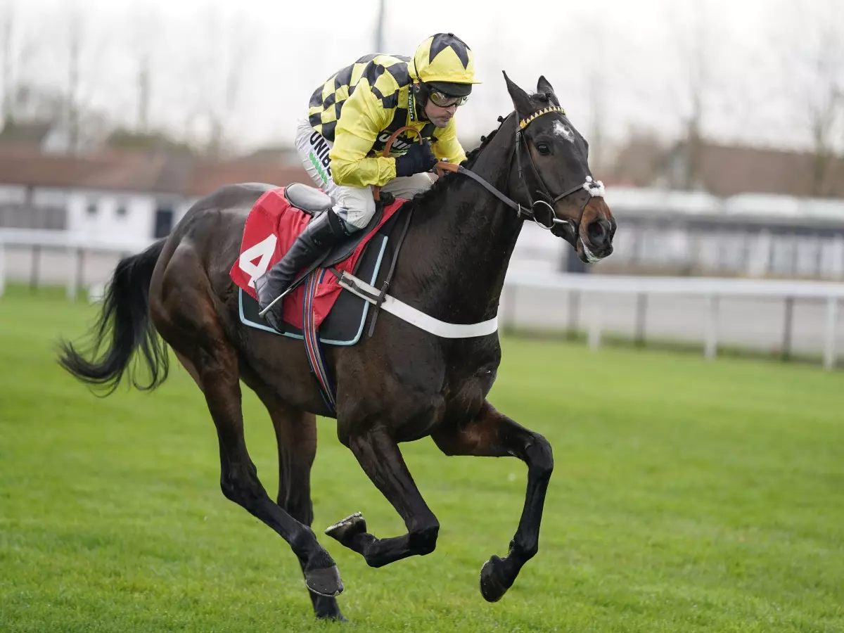 Shishkin and Energumene could clash in Clarence House