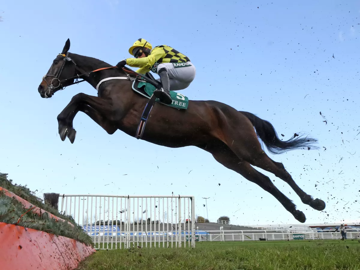 Shishkin puts in a monster leap at Aintree in April