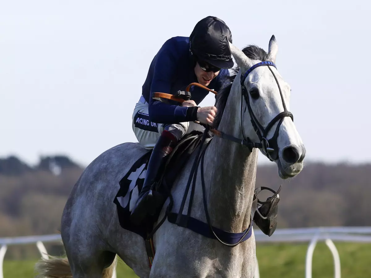 Snow Leopardess pounces for Listed glory at Exeter