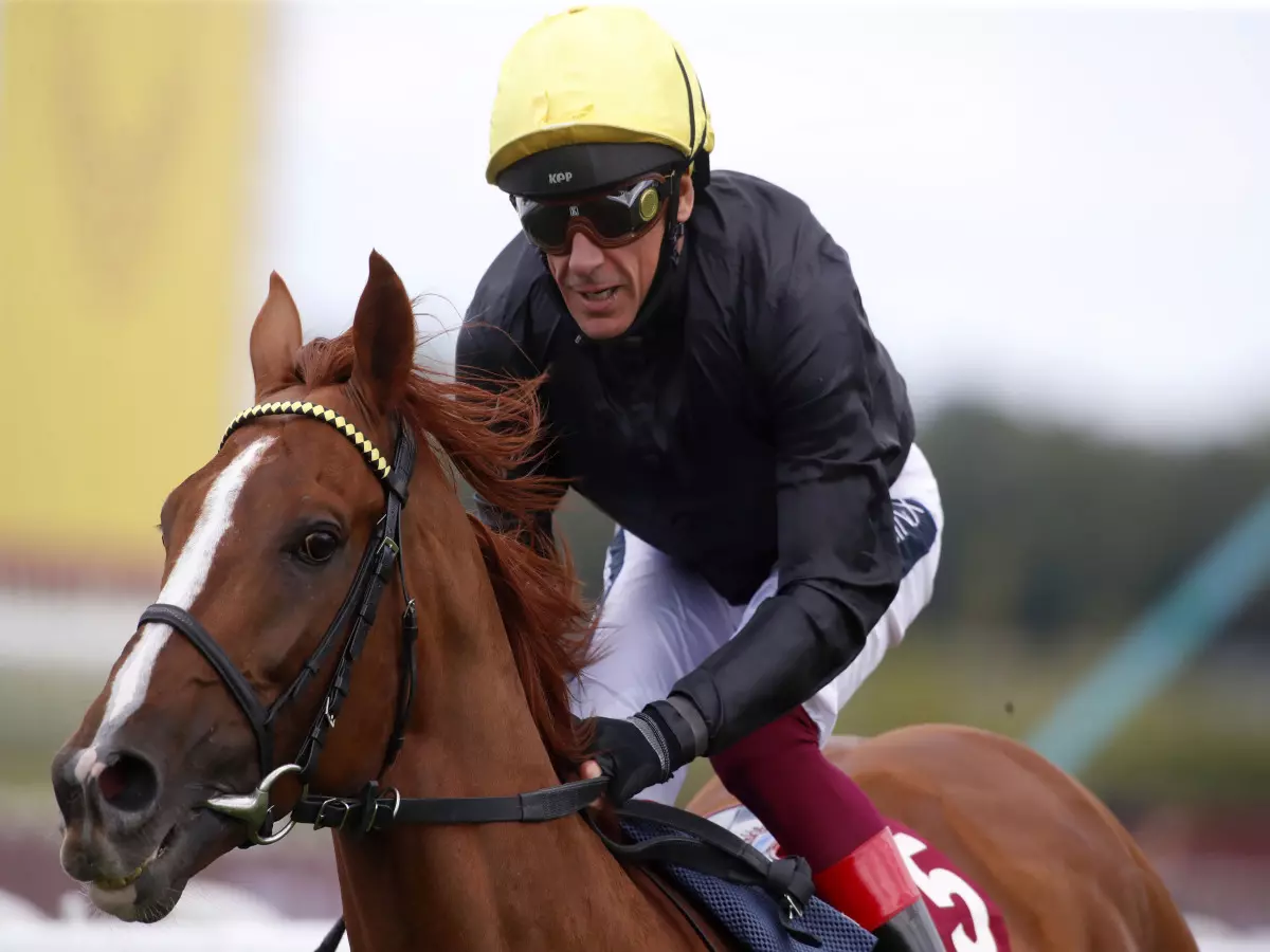 Stradivarius forced to miss Goodwood Cup due to ground conditions