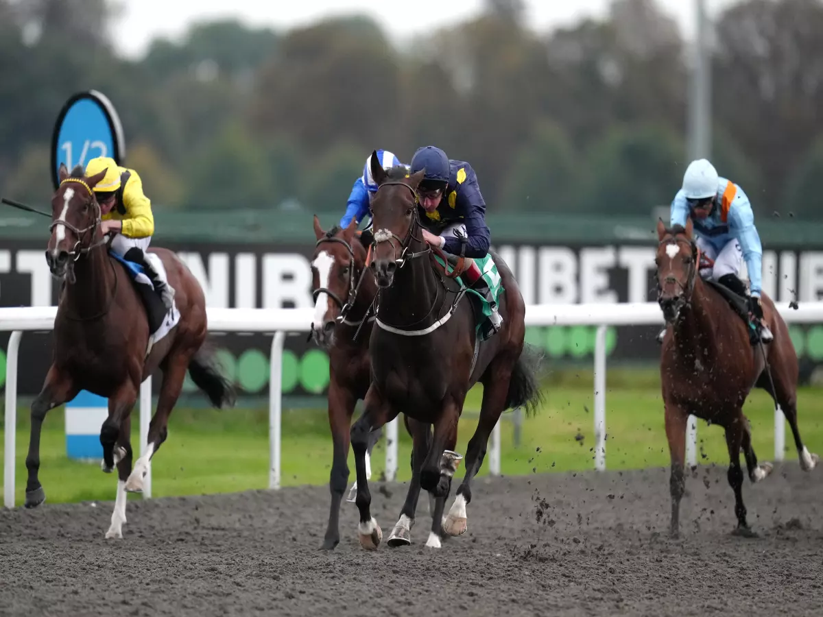 The incident took place at Kempton's all-weather track