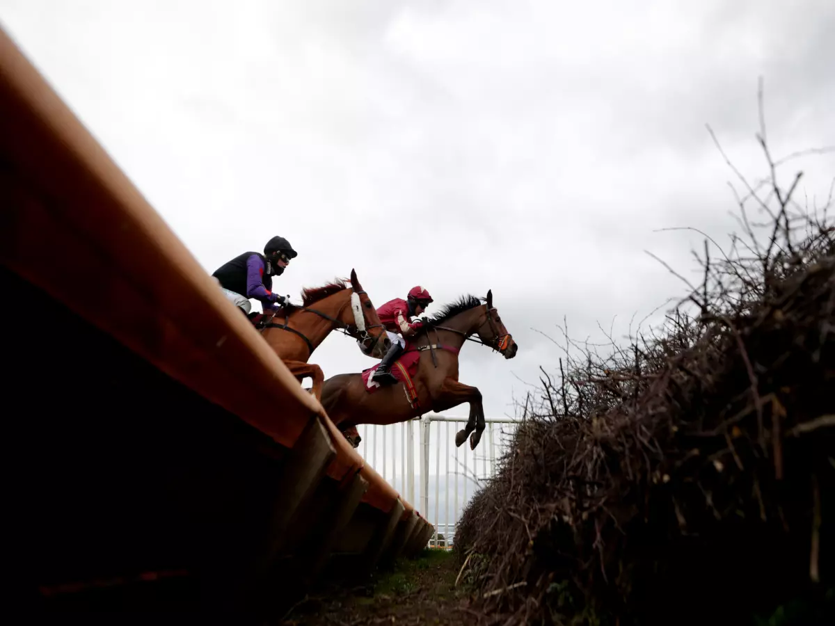 The Two Amigos (right) heads to Lingfield