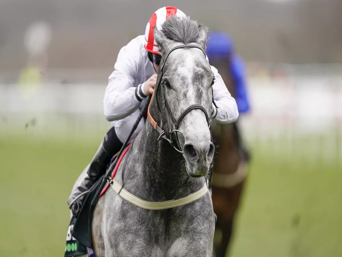 Top Rank poised for either Newmarket or Windsor