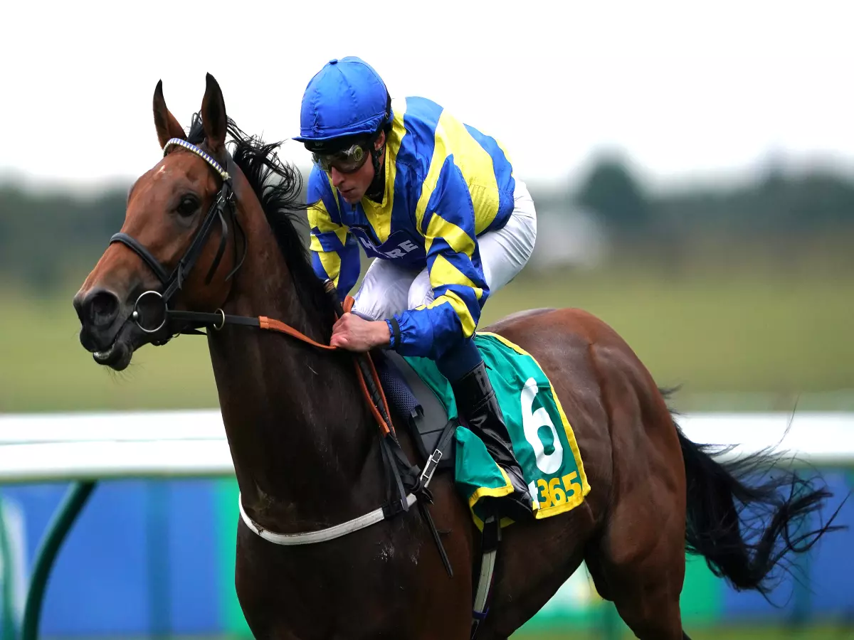 Trueshan facing ‘huge ask’ under Plate welter burden