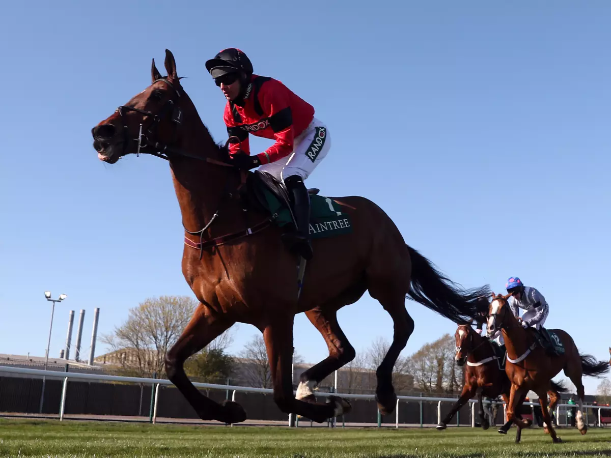 Wetherby confirmed as intended destination for Ahoy Senor