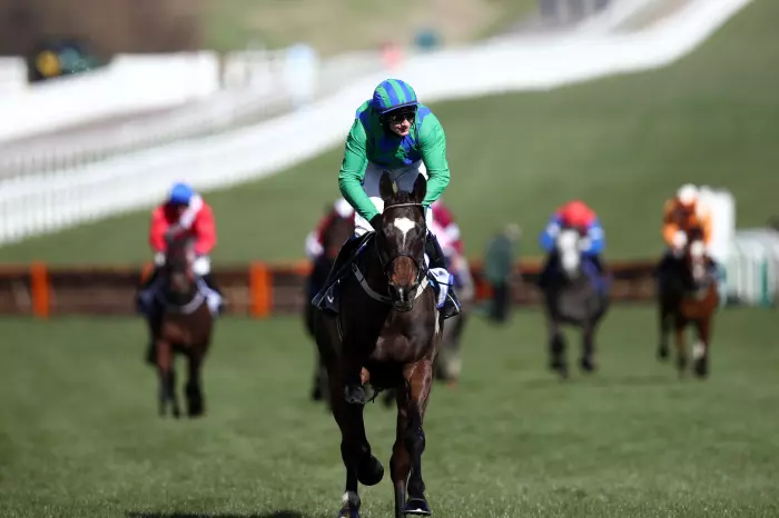 Appreciate It sauntered to victory in the Supreme Novices' Hurdle