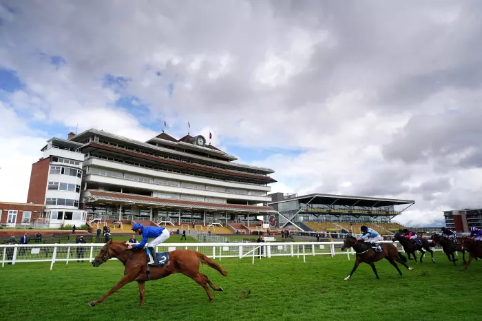 Creative Force continues on upward curve at Newbury