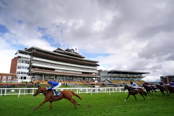 Newbury best bet: Godwinson looks well in to make strong Spring Cup bid