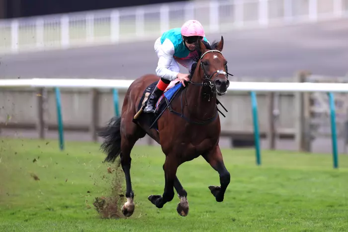 Dazzling Derab upholds family tradition at Newmarket