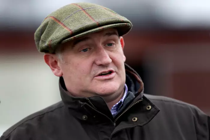 Donald McCain has high hopes for Bareback Jack