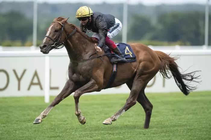 History beckons as Stradivarius tops Gold Cup contenders