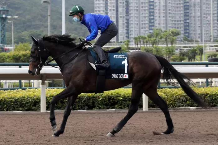 Japanese star Daring Tact ready for Hong Kong debut