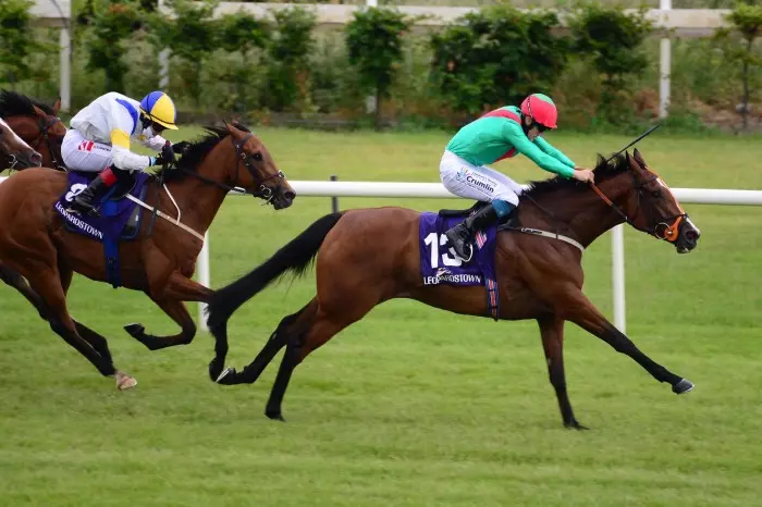 Moll on top as Princess Zoe flounders at Cork