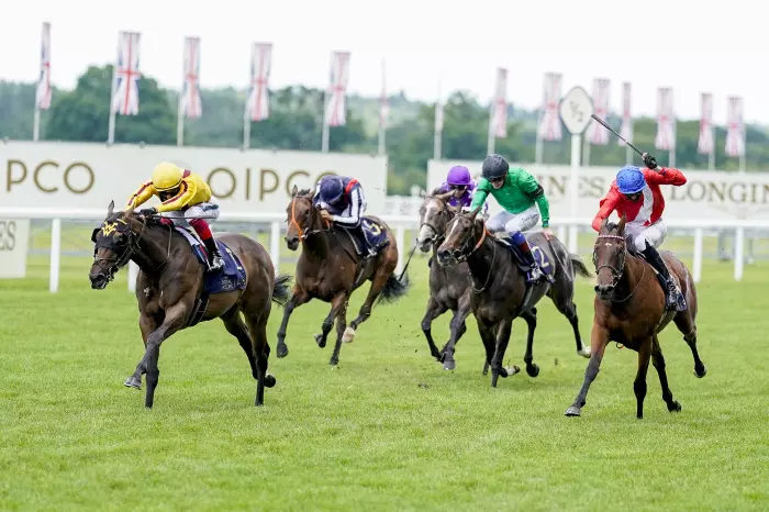 Sacred (right) finished second to Campanelle at Royal Ascot