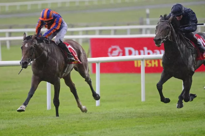 Santiago returns to action at Navan