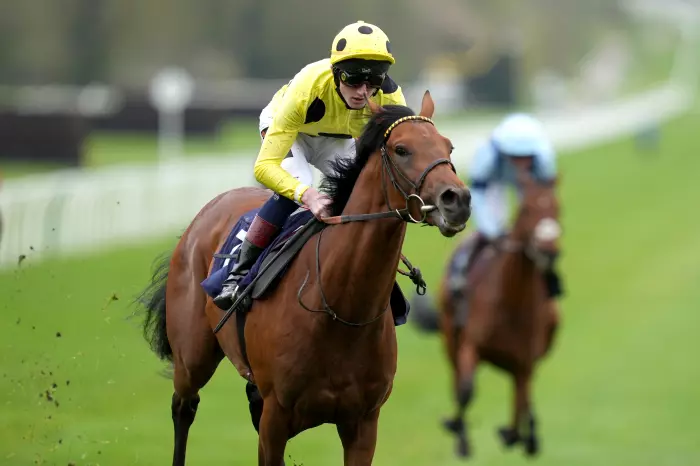 Third Realm impressed in the Lingfield Derby Trial
