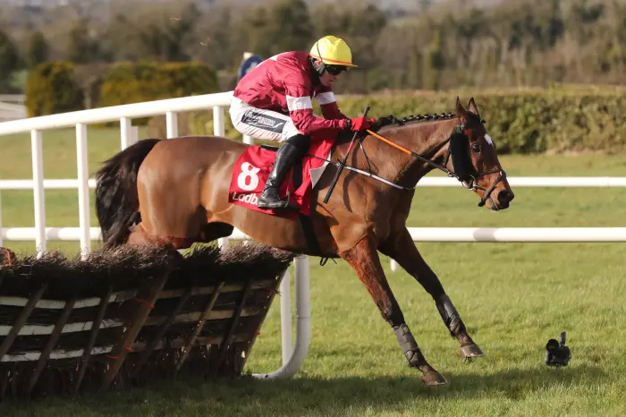 Tiger Roll in action at Navan on Sunday