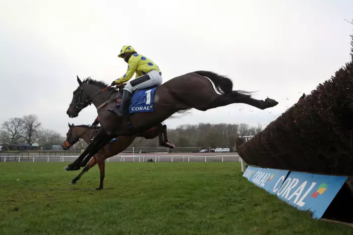 Yala Enki won for the second successive year at Taunton despite making a bad mistake at a crucial stage of the race