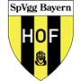 spvgg-bayern-hof