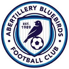 abertillery-bluebirds