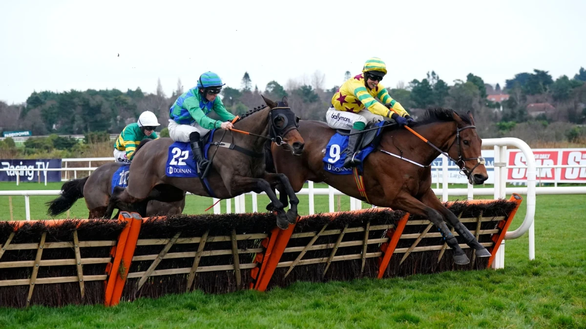Leopardstown racing top tip (1500): Fakir D’Alene undervalued on ...