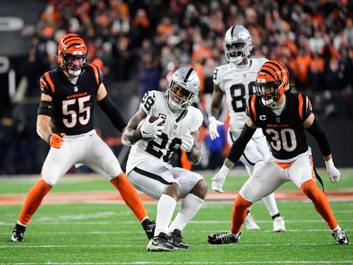NFL wildcard weekend: Cincinnati Bengals and Buffalo Bills win play-off