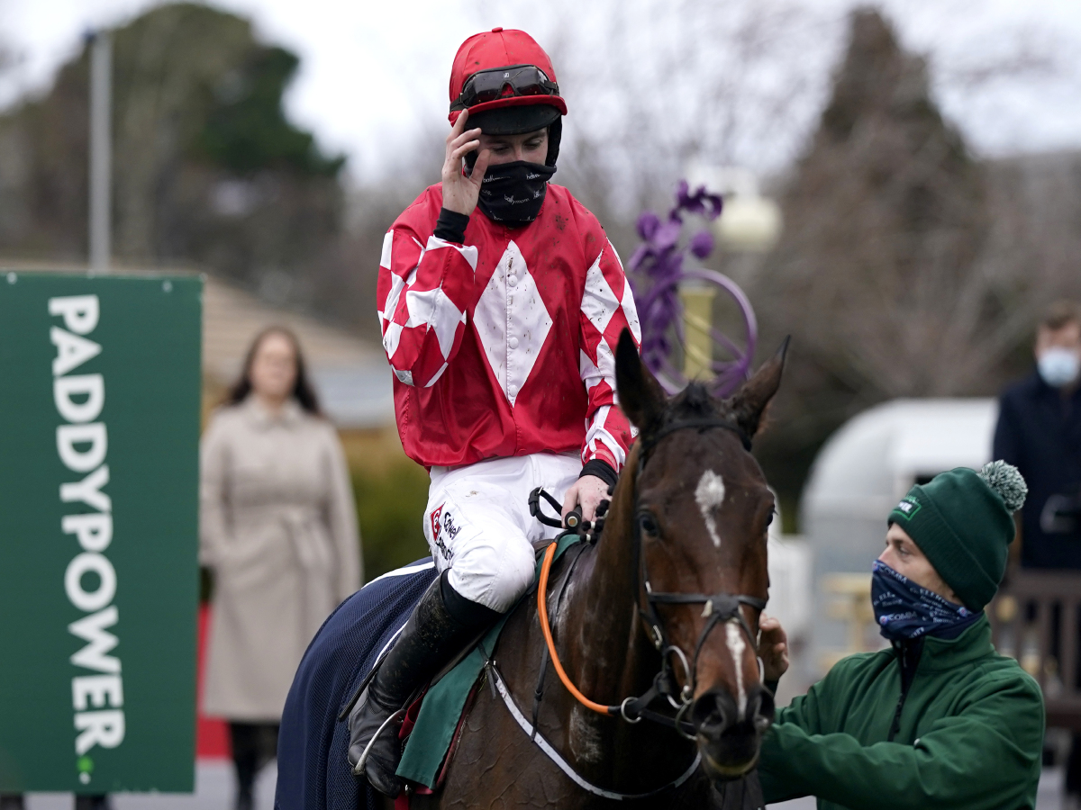 Cheltenham Festival News Mighty Potter could take the magic to the