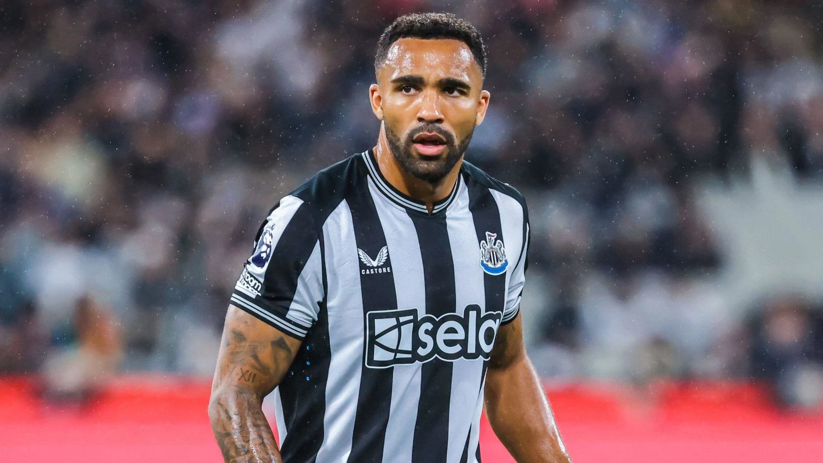 Callum Wilson Bản lĩnh ngôi sao biết tỏa sáng đúng lúc Callum Wilson Bản lĩnh ngôi sao biết tỏa sáng đúng lúc