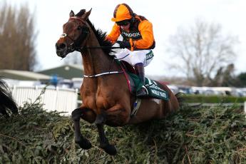 Saturday Cheltenham tip: Trends analysis points to Noble Yeats in Cotswolds Chase