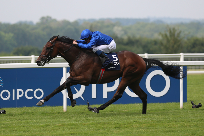 Adayar and William Buick in last year's King George VI and Queen Elizabeth Diamond Stakes