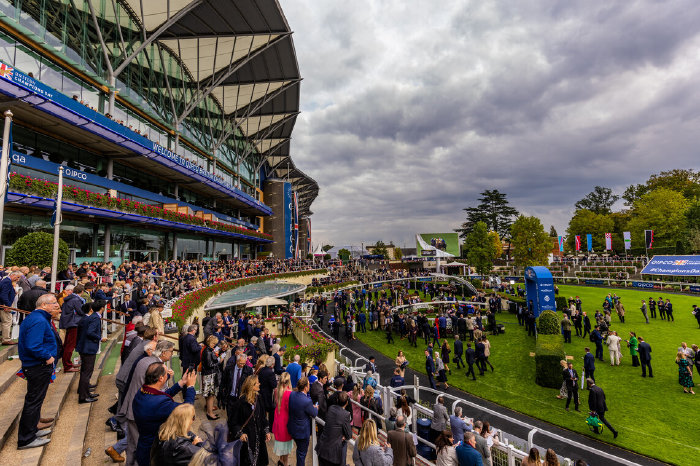 Ascot is the venue for two of Pete's tips