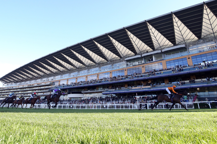 West Cork to win at Ascot