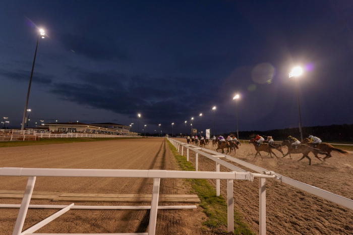 Tips for Saturday's floodlit Chelmsford meeting