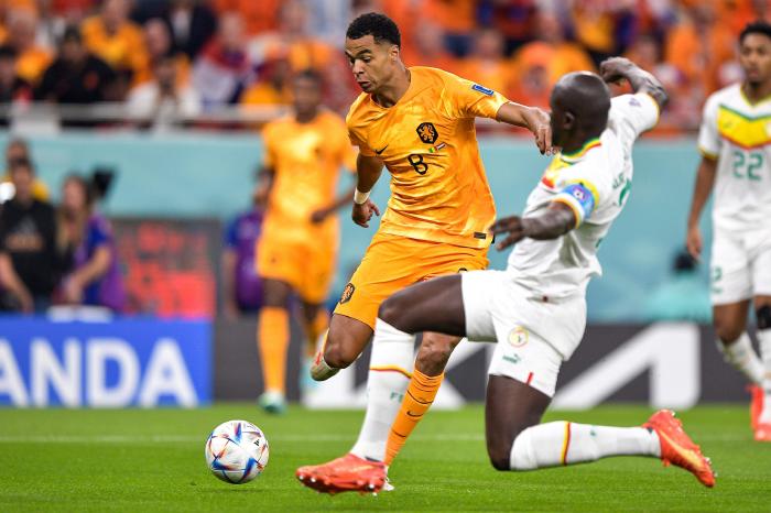Netherlands leave it late as Cody Gakpo and Davy Klaassen down Senegal
