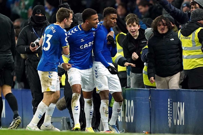 Demarai Gray celebrates Everton winner