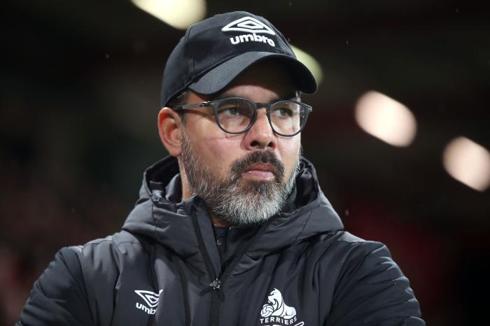 David Wagner is the new head coach at Norwich