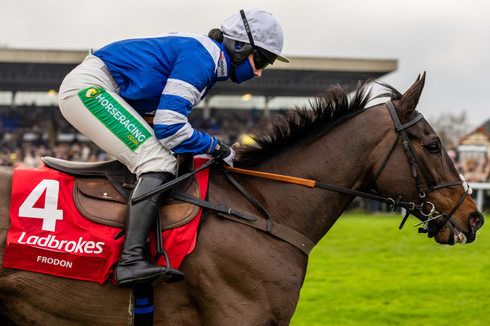 Frodon, for whom Paul Nicholls is prepared to leave the door open to run in the Betfair Chase before the King George VI Chase