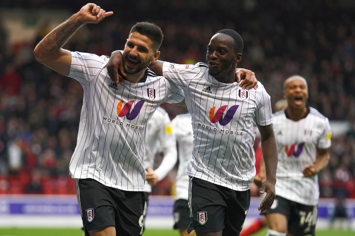 Aleksandar Mitrovic celebrates scoring for Fulham.