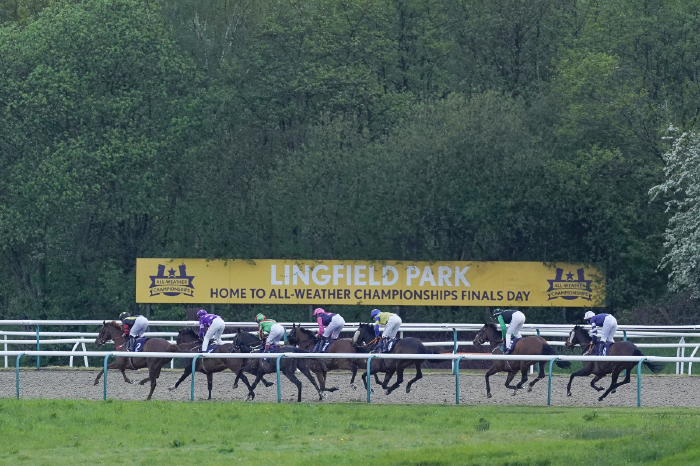 Racing on Lingfield's Polytrack