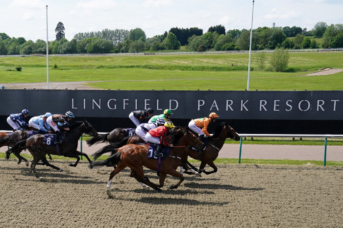 Lingfield racecourse