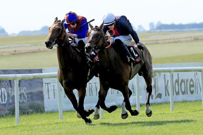 Luxembourg in action at the Curragh