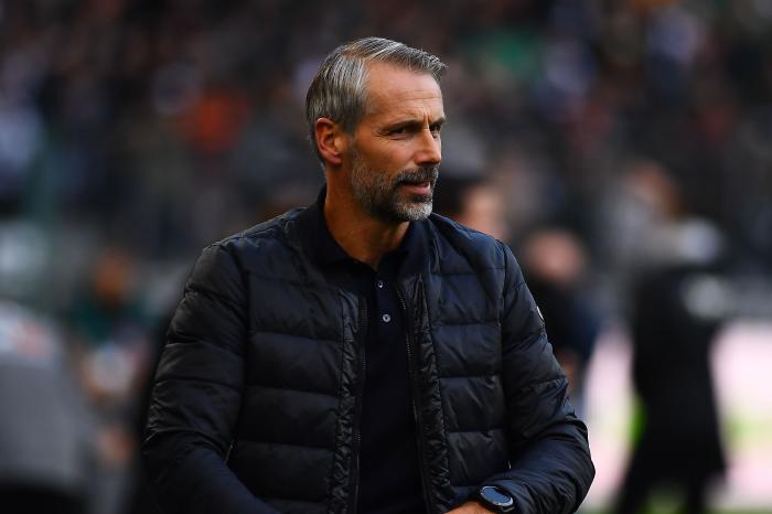 Marco Rose knows RB Leipzig are in for a 'wild' Champions League game ...